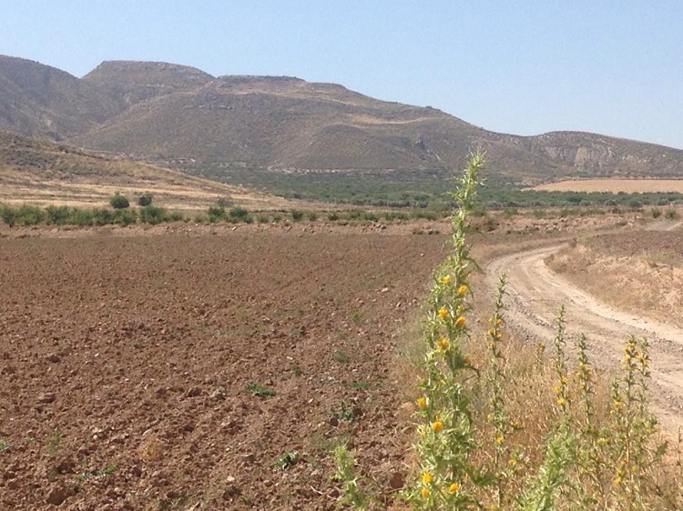 Fotos de la ruta